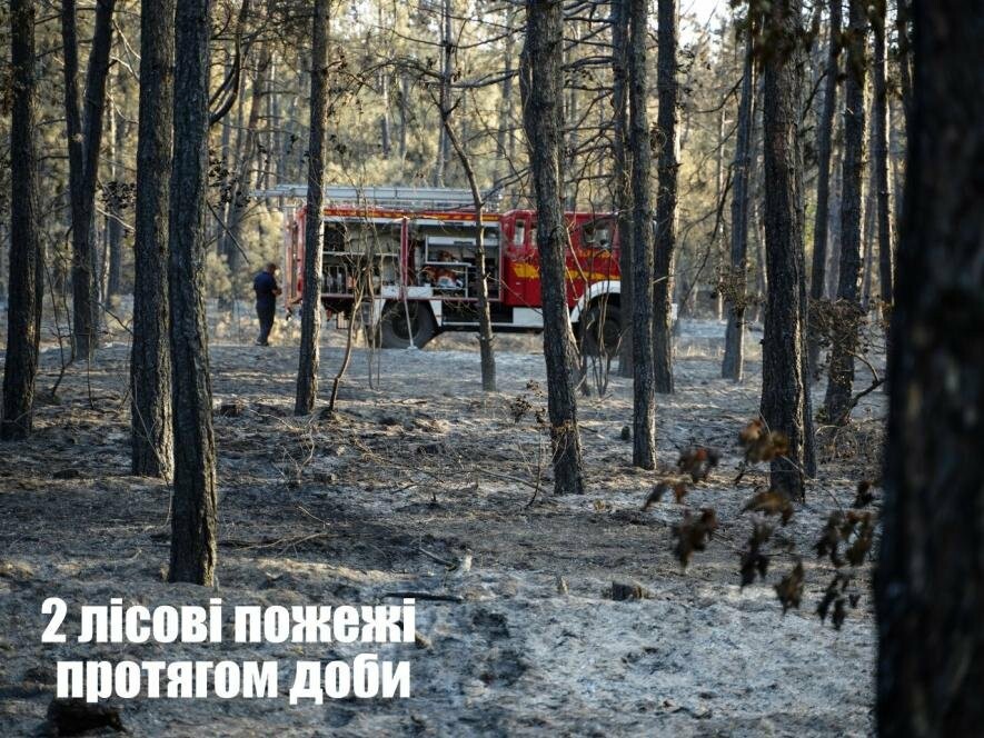 Учора на Миколаївщині сталось дві лісові пожежі. Одна, ймовірно, сталась через підпал