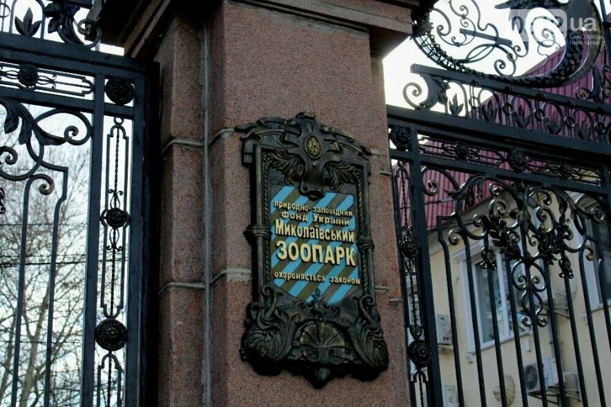 Зоопарк в Миколаєві. Графік роботи та вартість квитків
