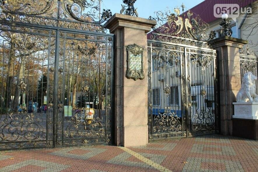 Буде дощити весь день: погода у Миколаєві 