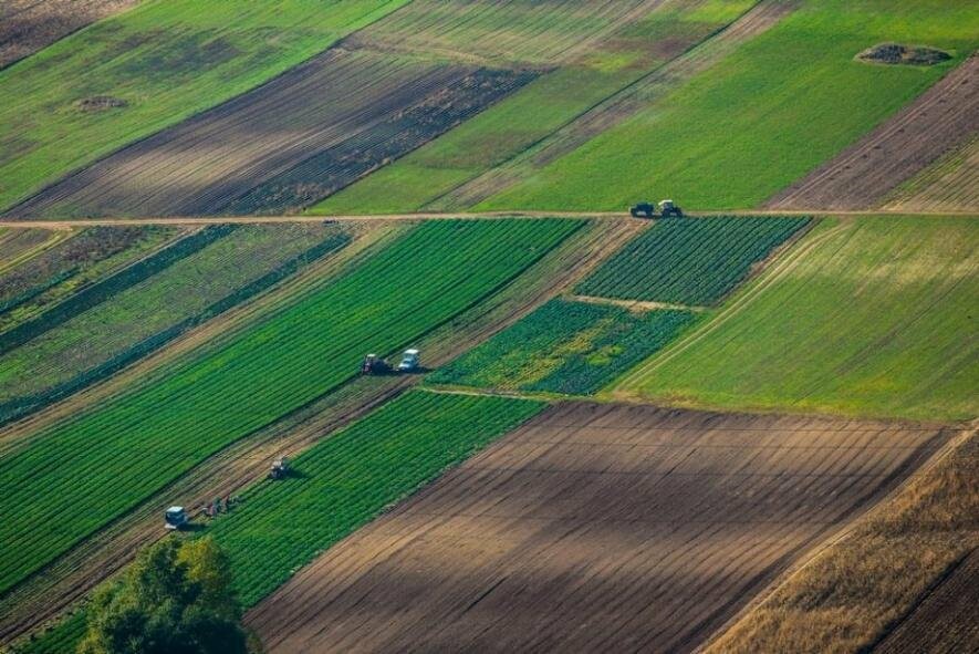 На Миколаївщині прокуратура через суд вимагає конфіскувати земельні ділянки громадян рф