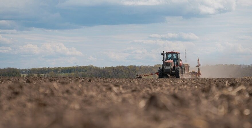 На Миколаївщині наразі обробляють понад 86% посівних земель