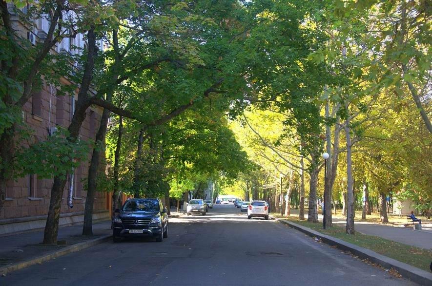 Водій білого кросоверу втік з місця пригоди: у Миколаєві поліція шукає свідків ДТП