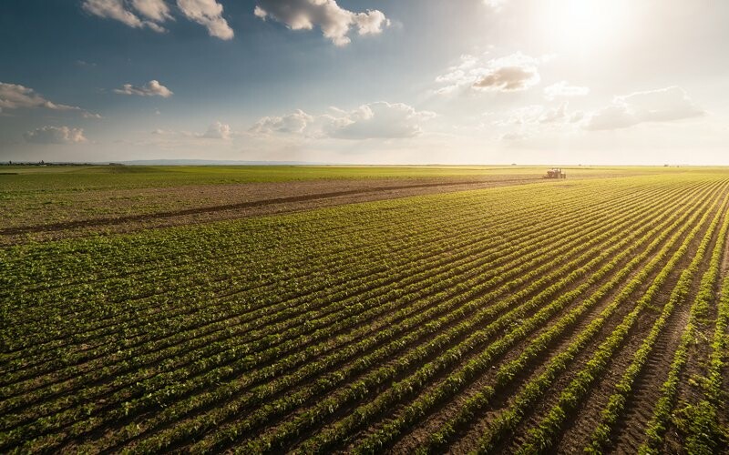 На Миколаївщині прокуратура через суд намагається конфіскувати землі у громадян рф