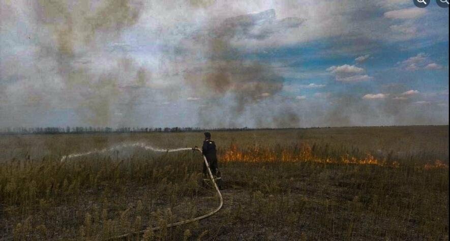 На Миколаївщині вогнеборці ліквідували 16 пожеж сухостою на загальній площі  майже 15 га