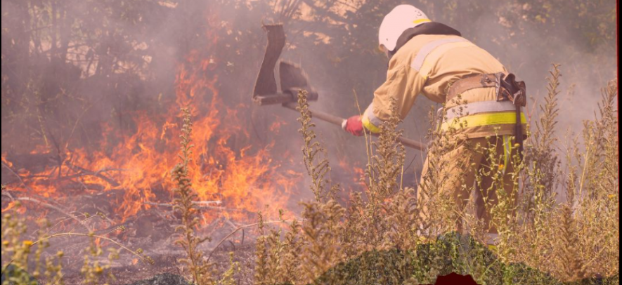З початку року на Миколаївщині сталась понад тисяча пожеж в екосистемах