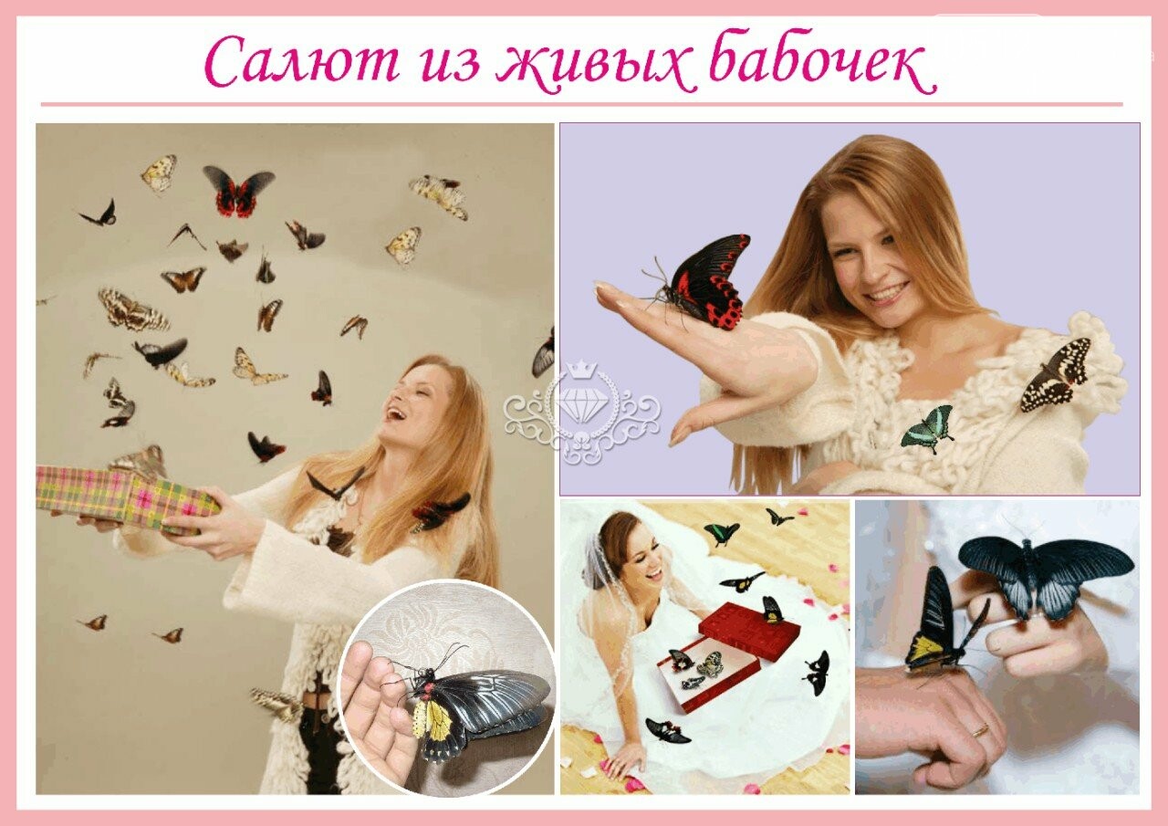Дом грандиозных событий Кристалл Дом грандиозных событий Кристалл