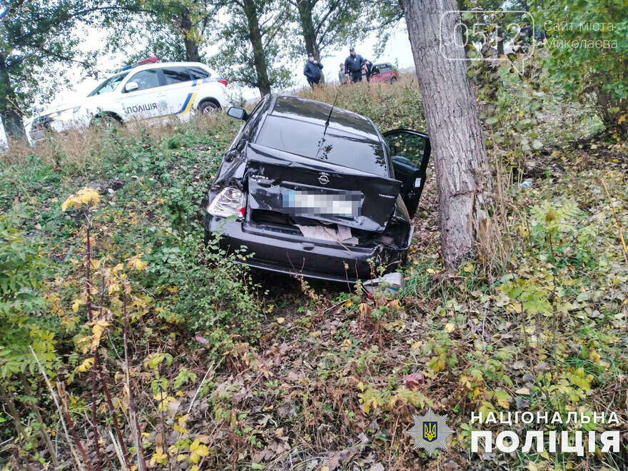 На Николаевщине пьяный водитель сбил подростка, после чего врезался в дерево