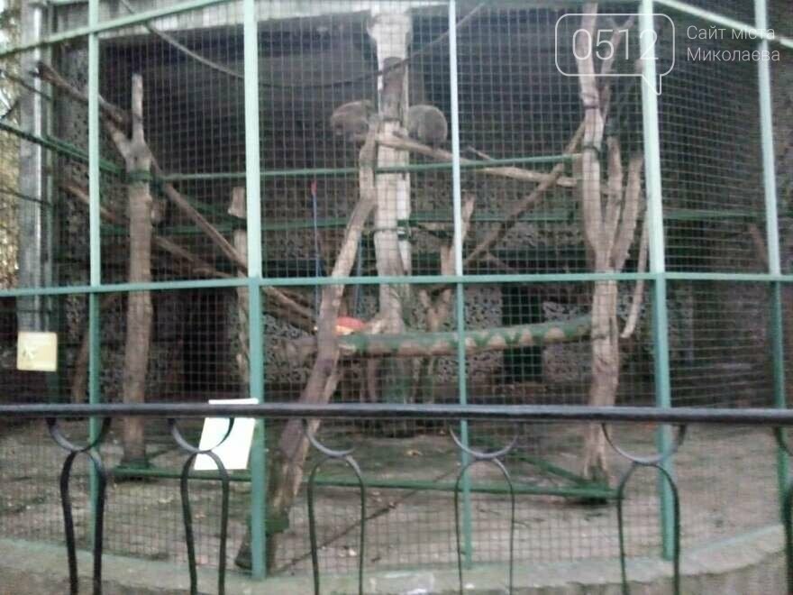 звери Николаевского зоопарка, которые остаются зимой в летних вольерах