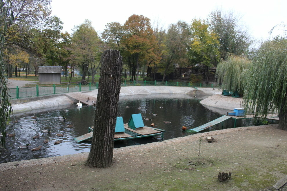 подготовка к 120-летию Николаевского зоопарка