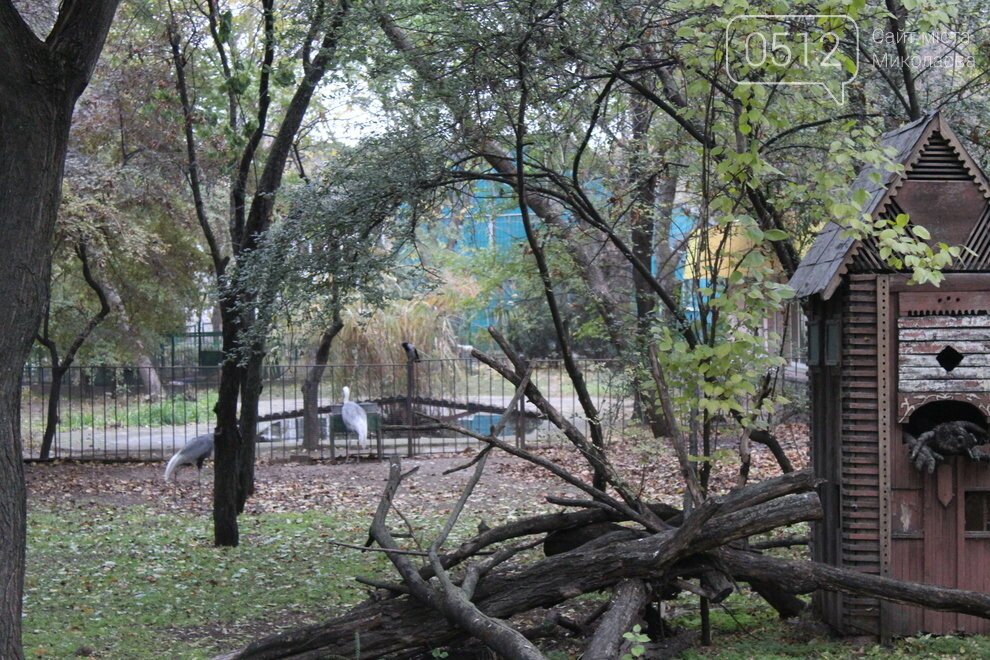 звери Николаевского зоопарка, которые остаются зимой в летних вольерах