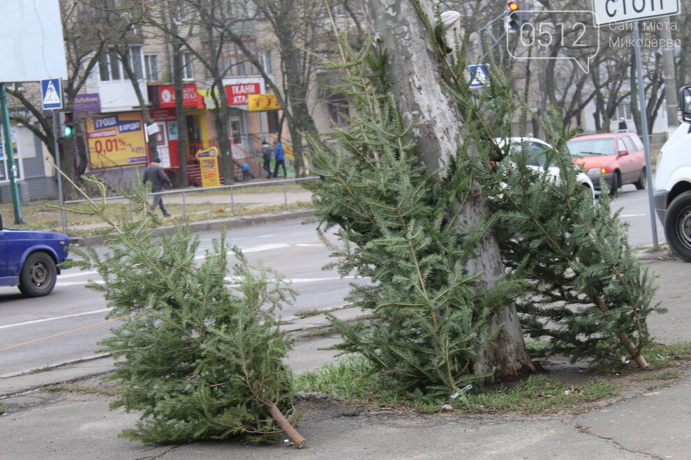Живая елка в Николаеве