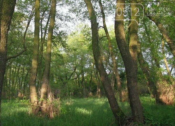 Кинбурнская коса, на Николаевщине, Кинбрурнская коса Кинбрурнская коса
