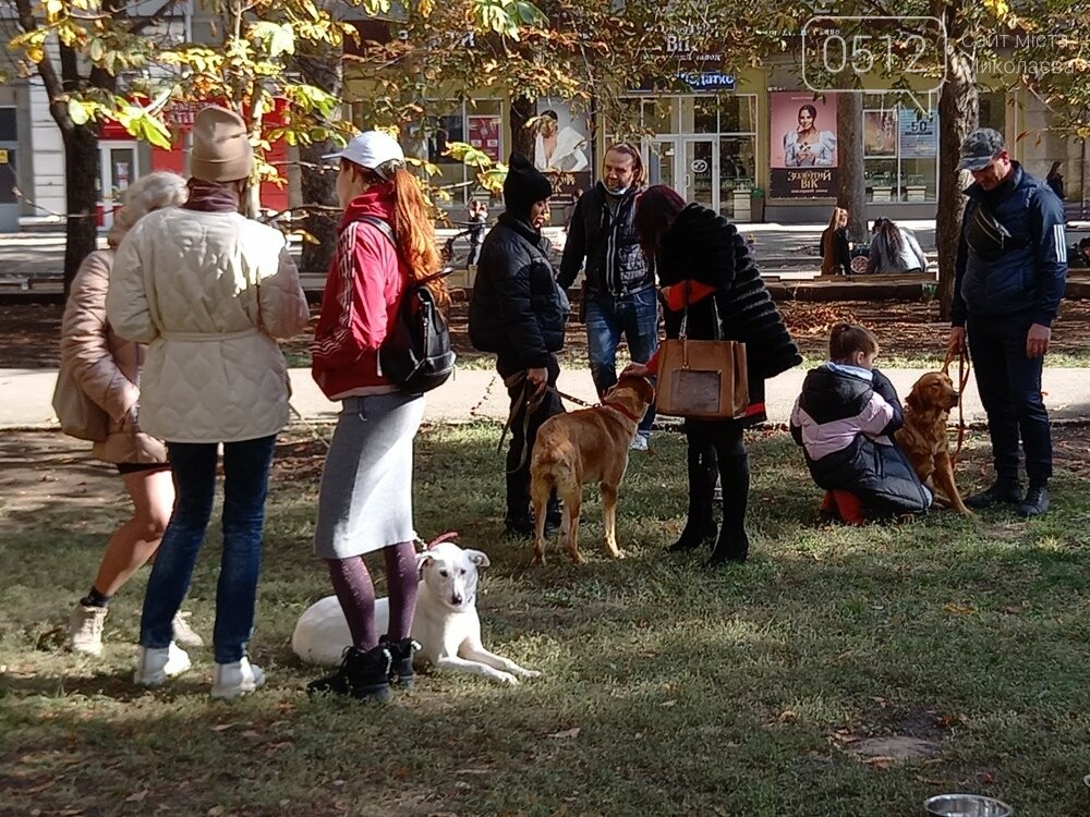 Выставка Счастье не имеет породы"