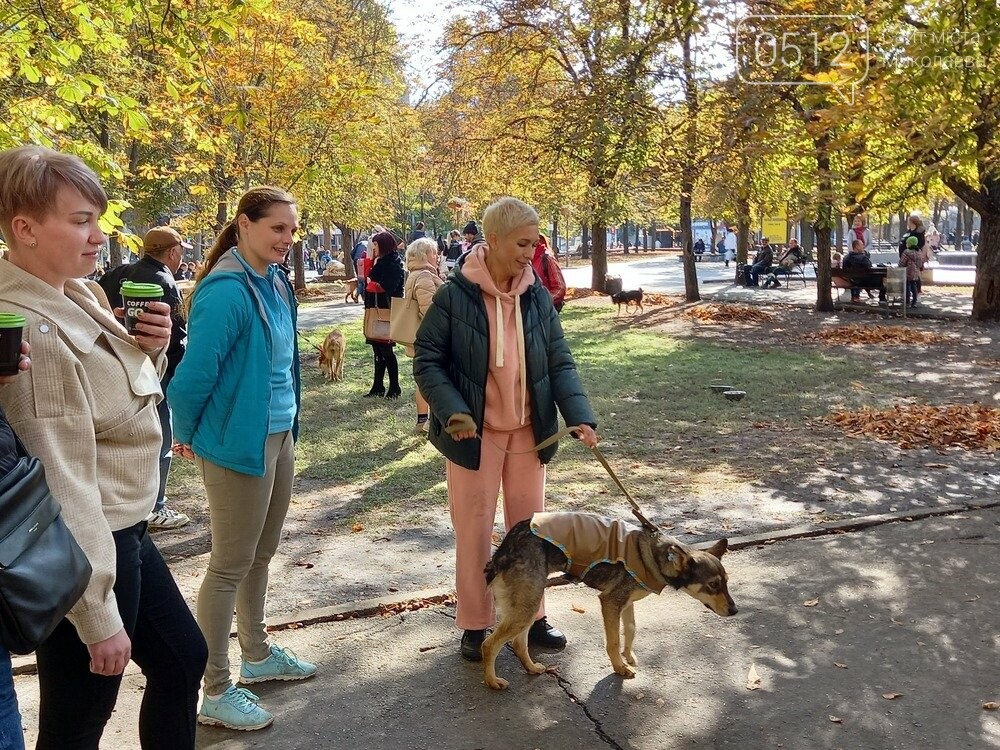 Выставка Счастье не имеет породы"