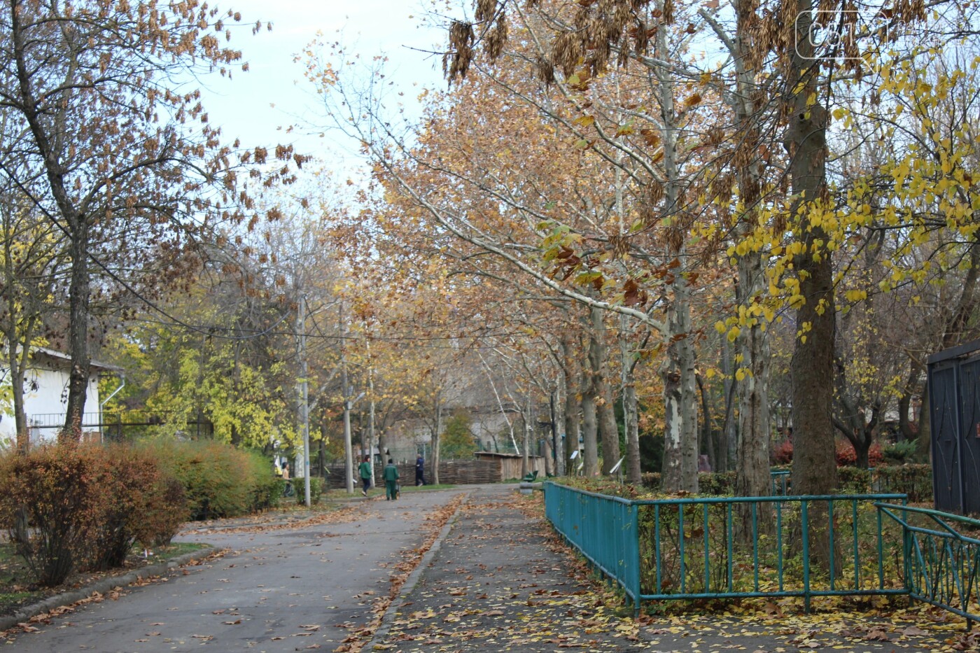 Николаевский зоопарк