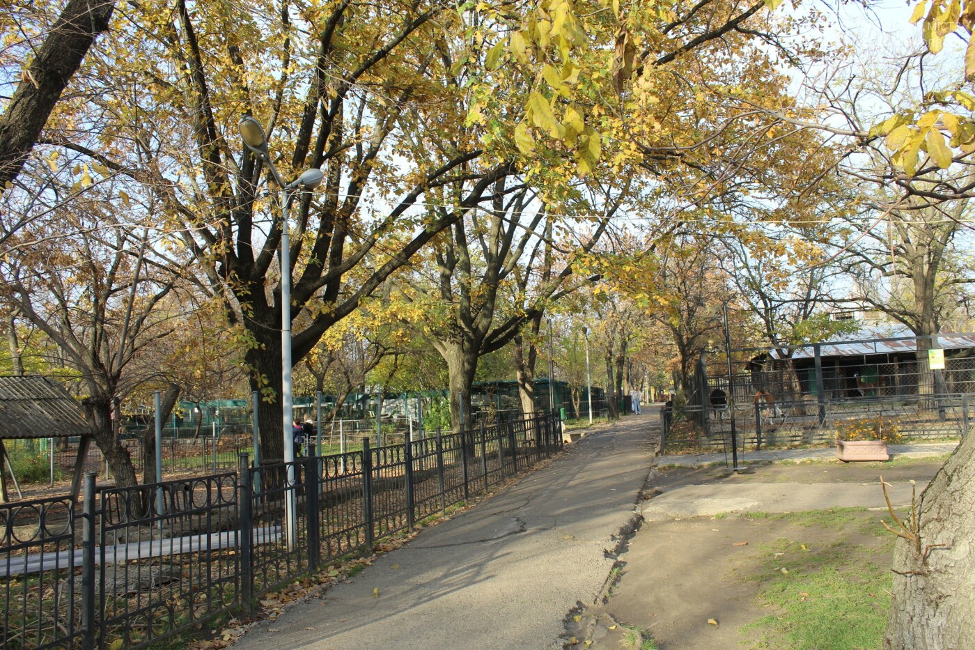 Зоосад