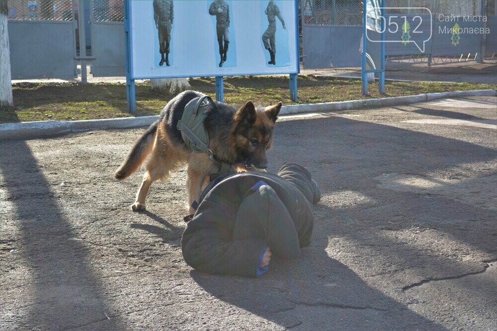 в/ч №3039 НГУ