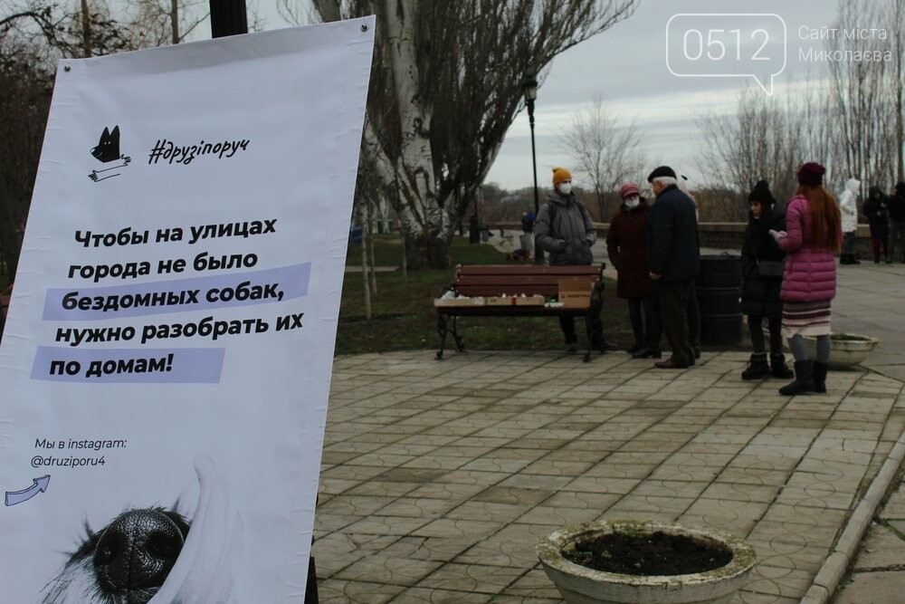 Выставка собак в Николаеве