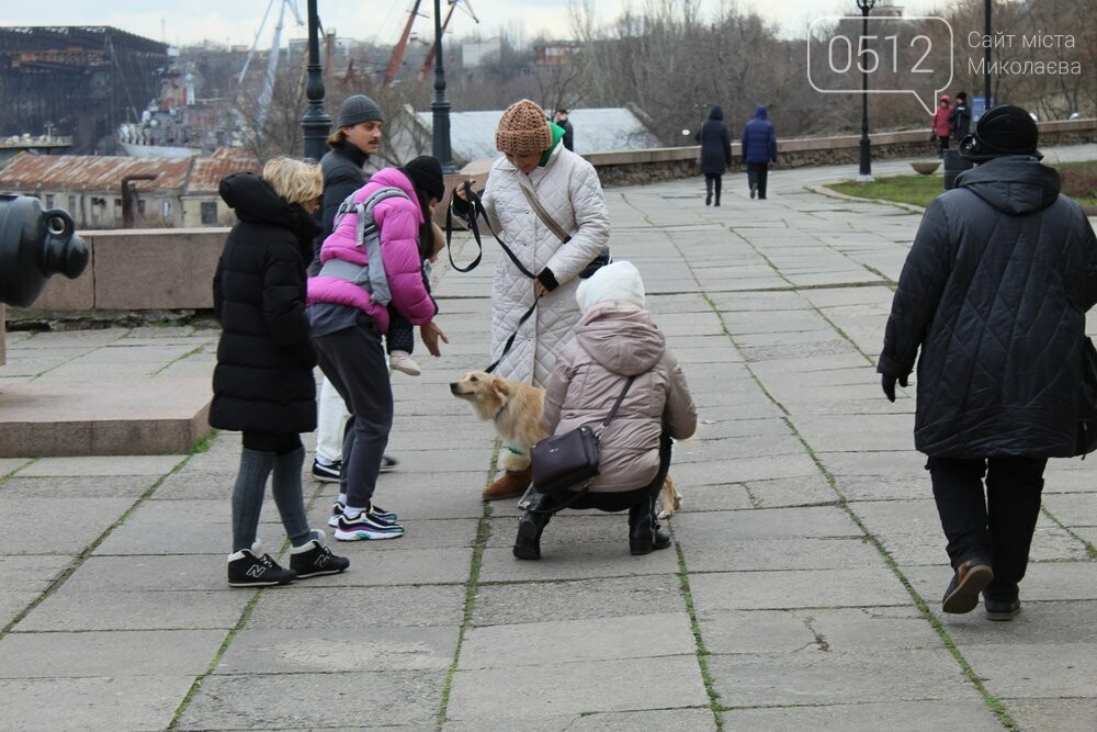 Выставка собак в Николаеве