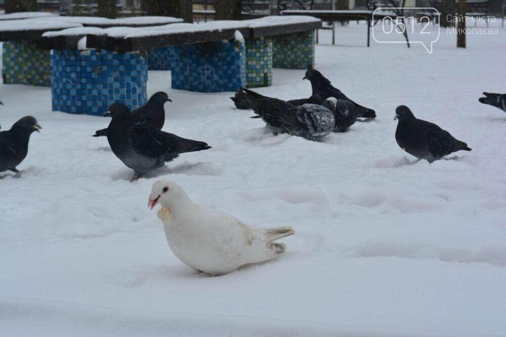 снег в николаеве