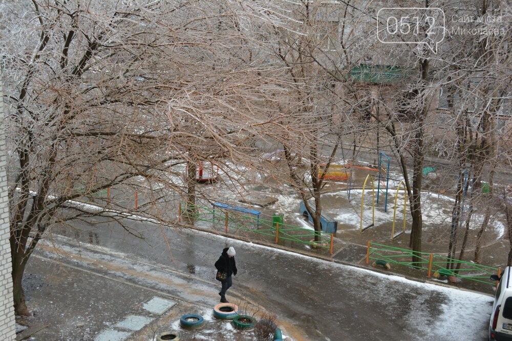 обледеневшие деревья в николаеве