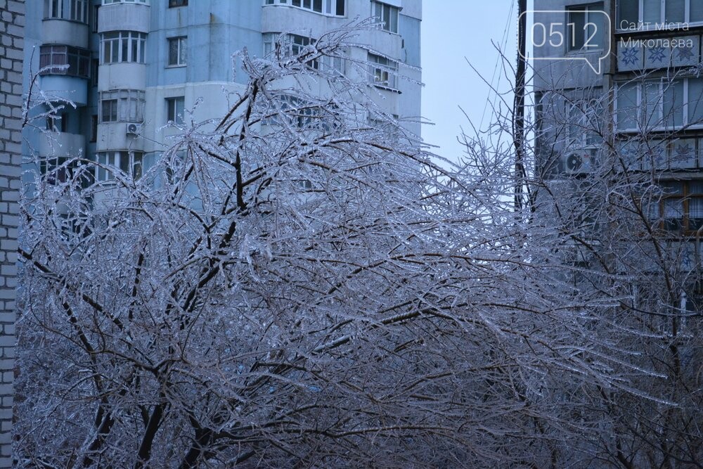 обледеневшие деревья в николаеве