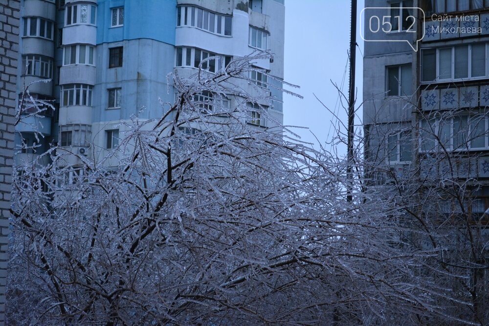 обледеневшие деревья в николаеве