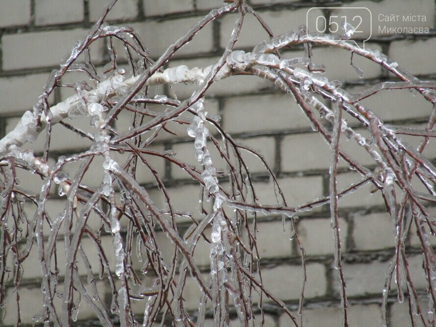 обледеневшие деревья в николаеве