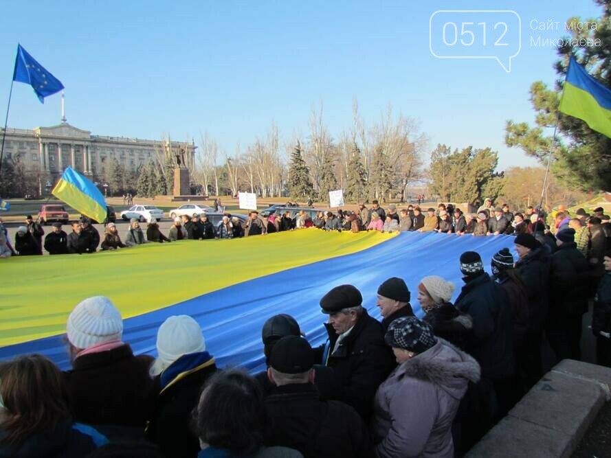 Первые митинги в Николаеве, 2013 год