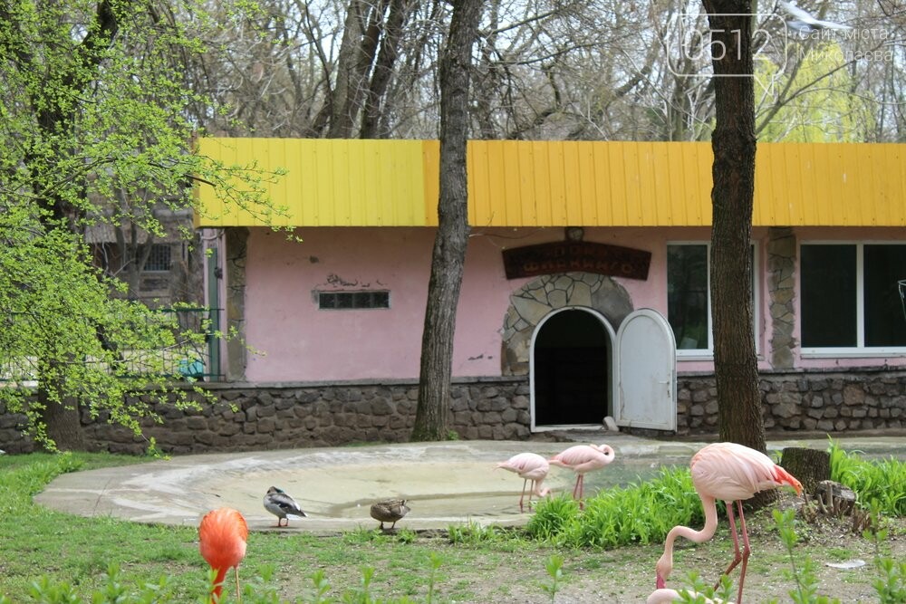 Миколаївський зоопарк під час війни