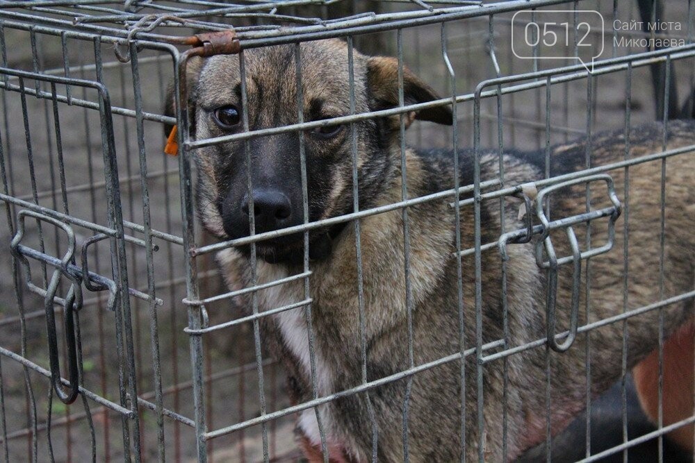 18 лютого КП 