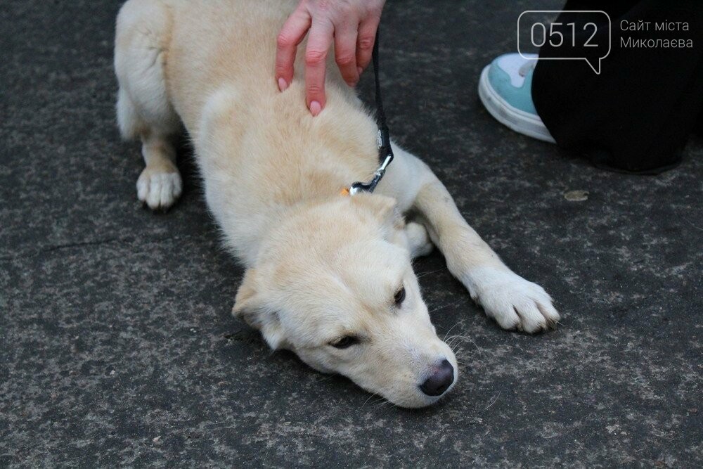 18 лютого КП 