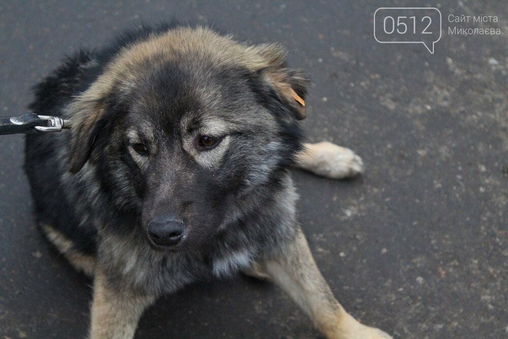 18 лютого КП 