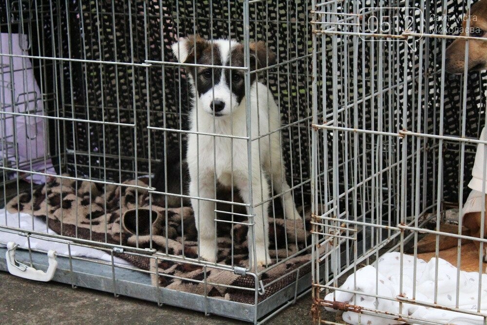 18 лютого КП 