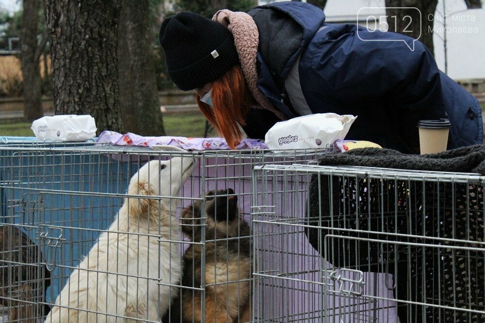 18 лютого КП 