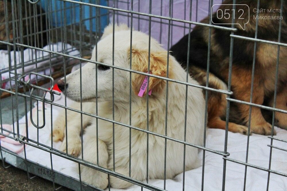 18 лютого КП 