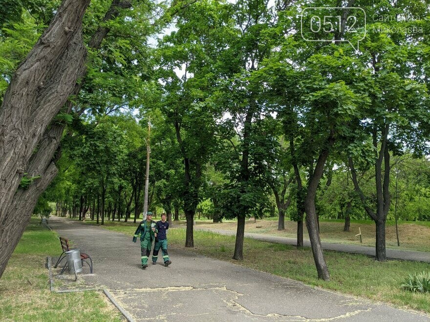Сотрудники КП "Николаевские парки" в парке Победа