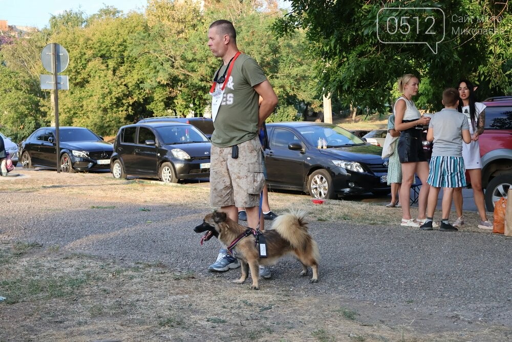 у Миколаєві відбулась виставка-прилаштування собачок