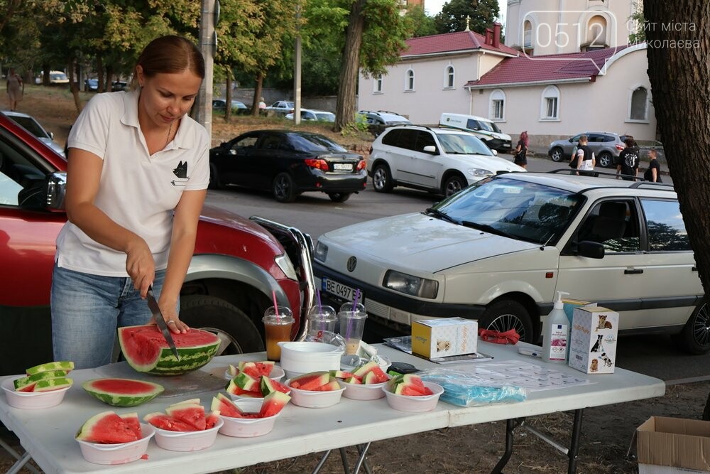 у Миколаєві відбулась виставка-прилаштування собачок