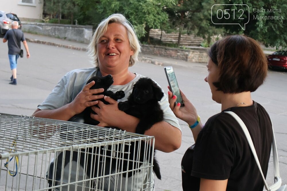 у Миколаєві відбулась виставка-прилаштування собачок