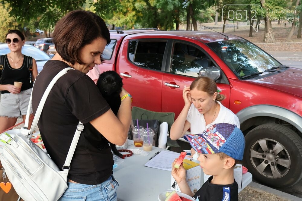 Жителька Миколаєва Ганна взяла одного із песиків додому