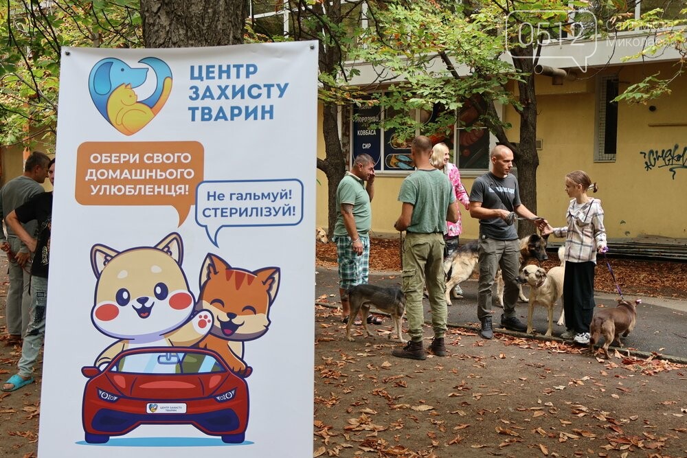 У Миколаєві відбулася виставка-прилаштування тварин