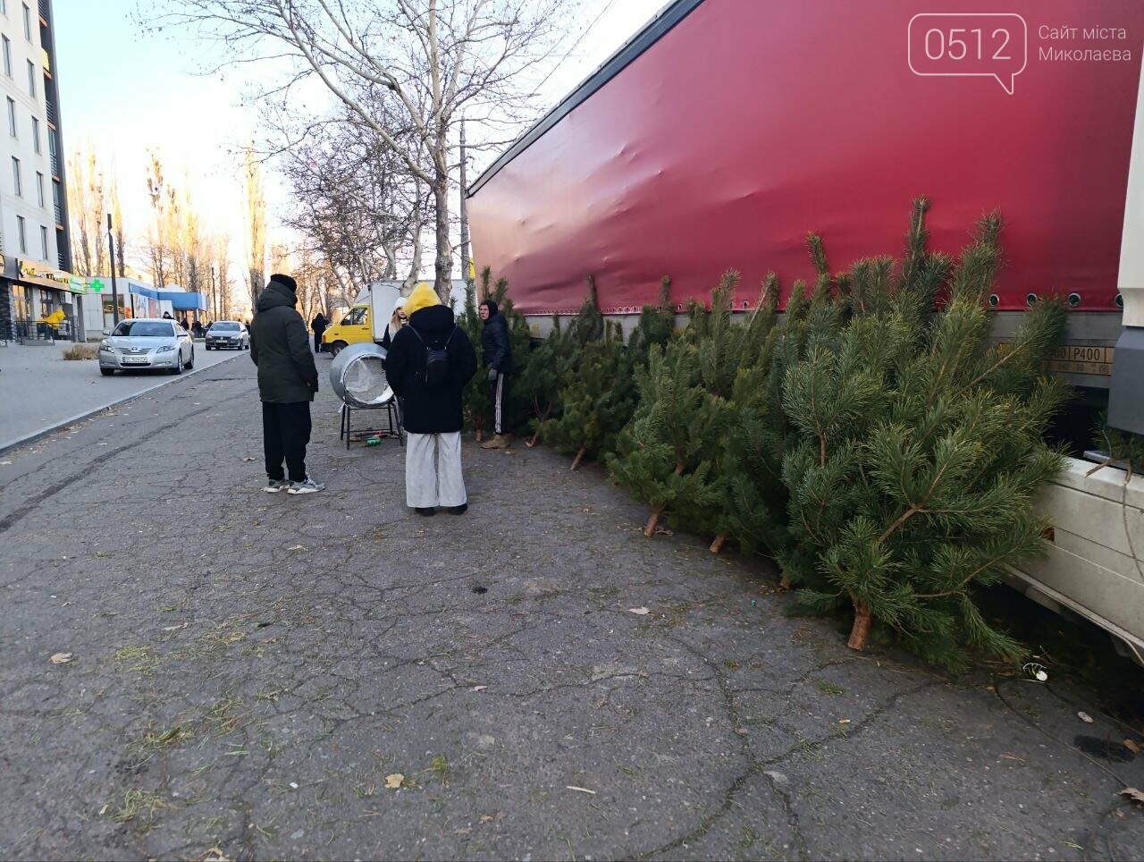 Сосны в Николаеве
