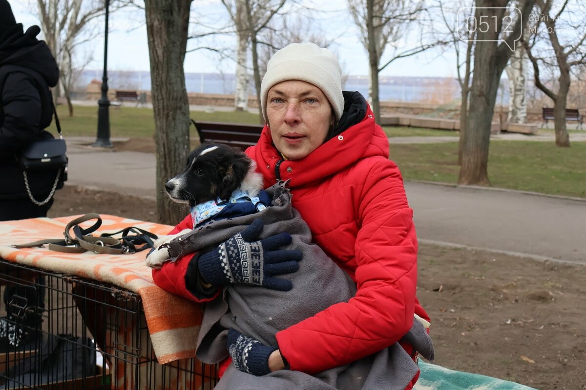 в Николаеве волонтеры искали новые семьи для пушистиков