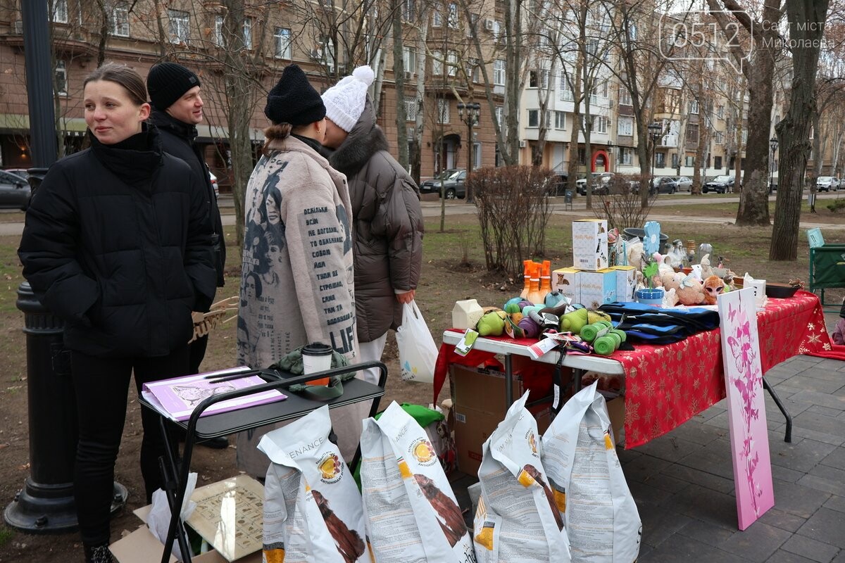 в Николаеве волонтеры искали новые семьи для пушистиков
