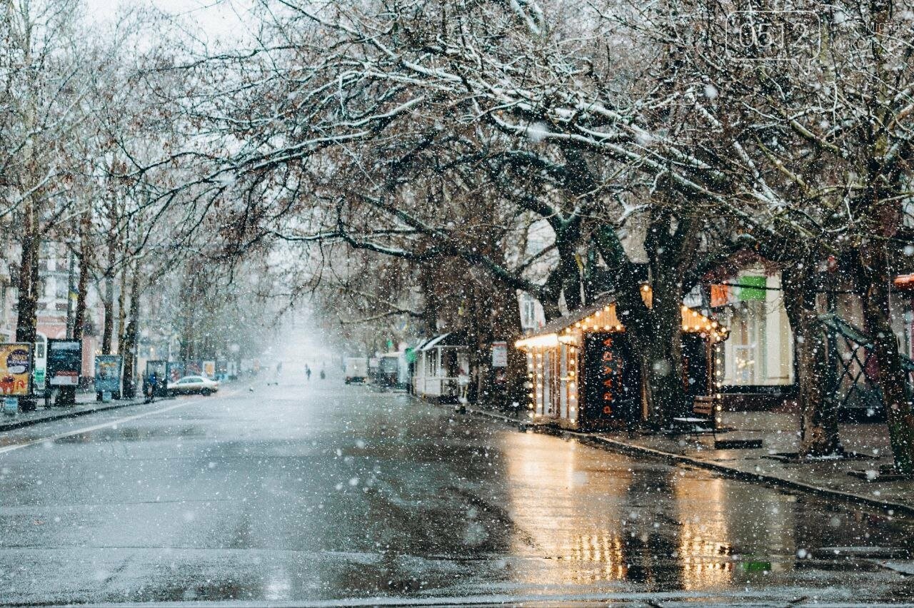Фото Светлана Коваль