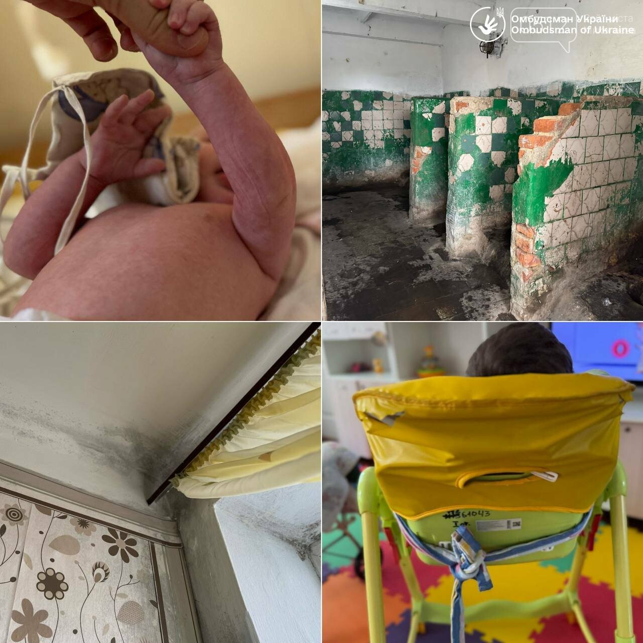 Фото Дмитрий Лубинец