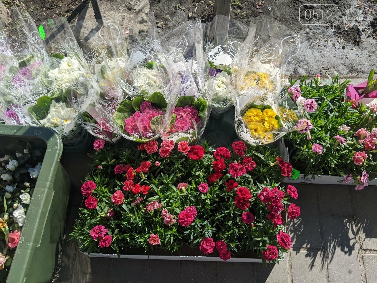 ціни на квіти у Миколаєві