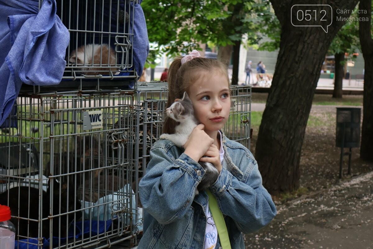 Выставка – прилативание животных в Николаеве.