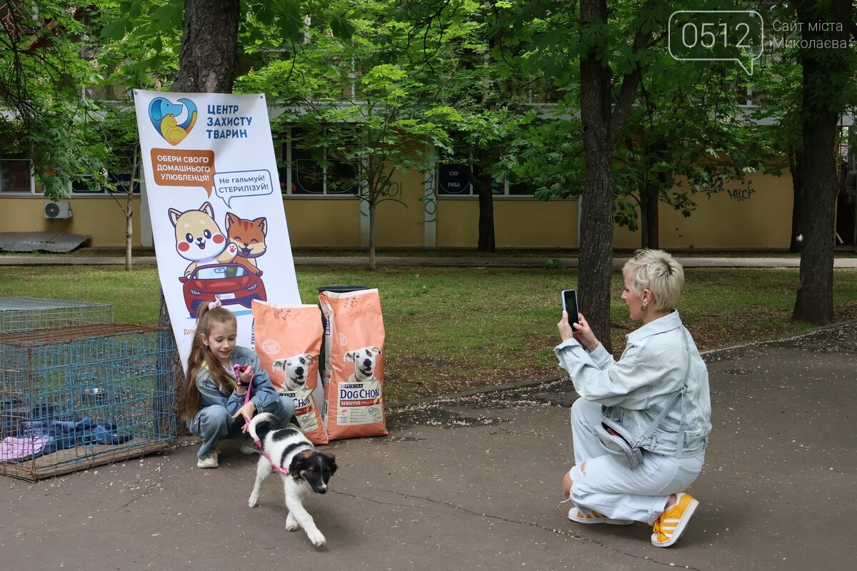 Выставка – прилативание животных в Николаеве.